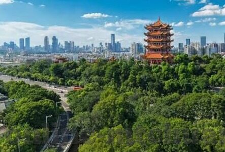 757成人免费视频-探索成人内容与网络伦理的边界，757成人免费视频的深思