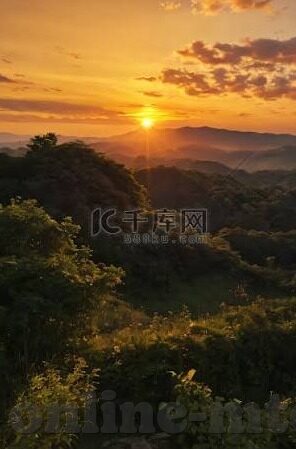 八妻子伦理电影在线-八妻之家的伦理纠葛，一部探讨人性与情感的深刻电影